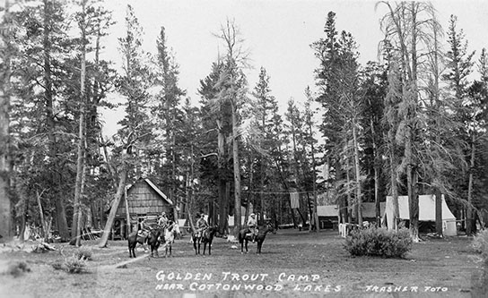 goldend trout camp
