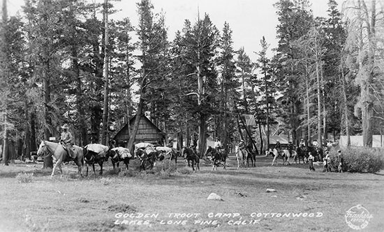 golden trout camp