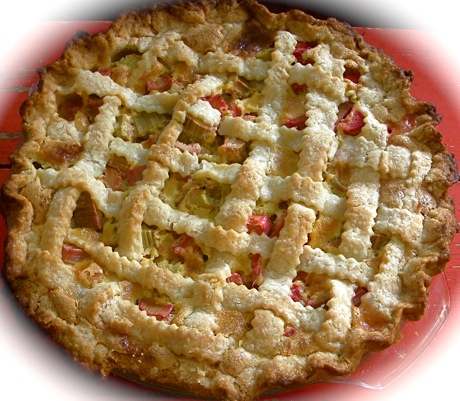 rhubarb custard pie