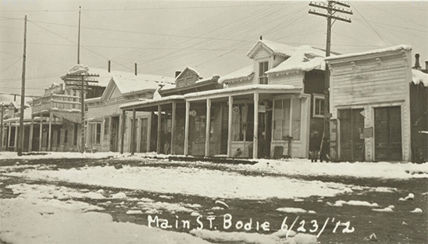 bodie