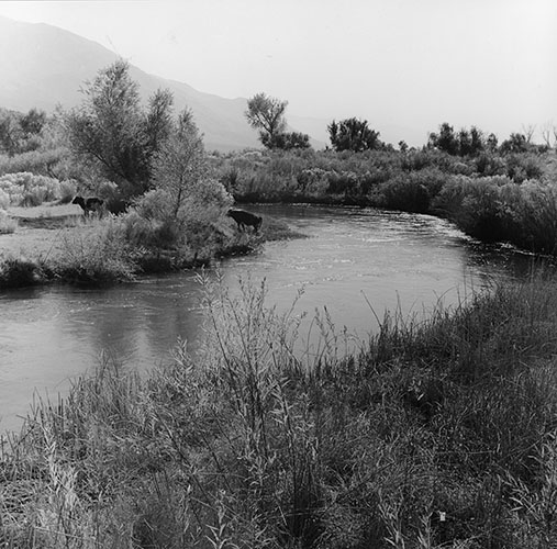 owens river