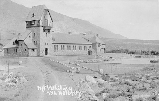 mt whitney fish hatchery