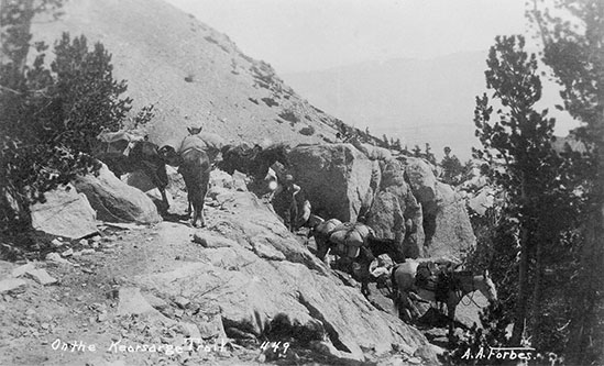 on the kearsarge pass trail