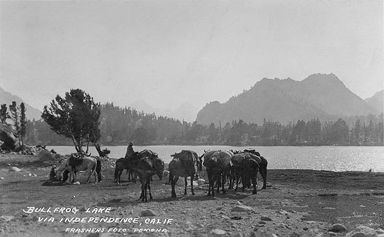 bullfrog lake