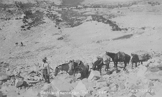 kearsarge pass trail