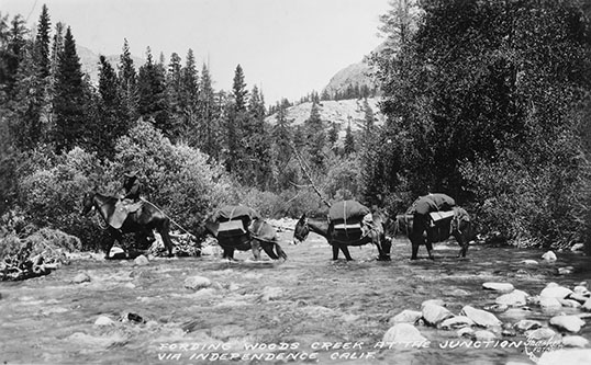 fording woods creek