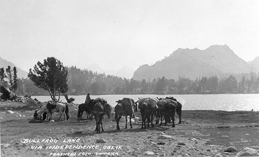 bullfrog lake