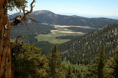 horseshoe meadows