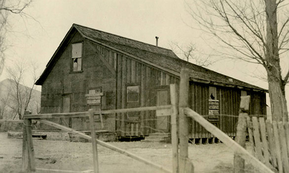 jim lane farm