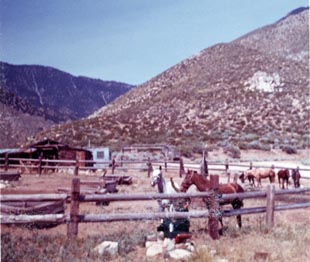 sierra lady corrals