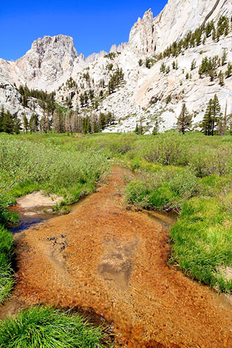 ibex meadow