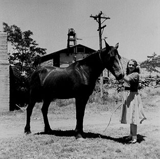 charlotte and cricket