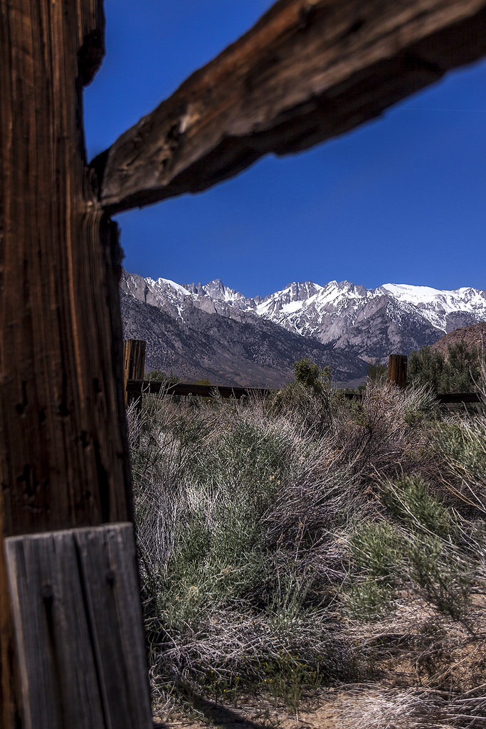 mt whitney