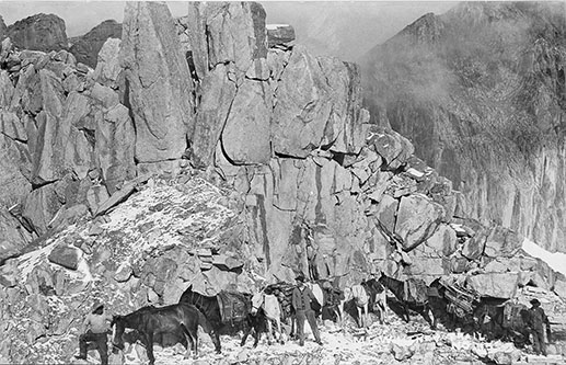 hauling wood to mt. whitney