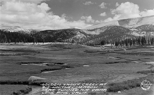 big whitney meadow