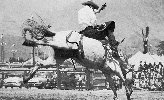 bronc riding