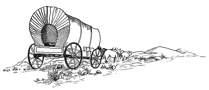 wagon