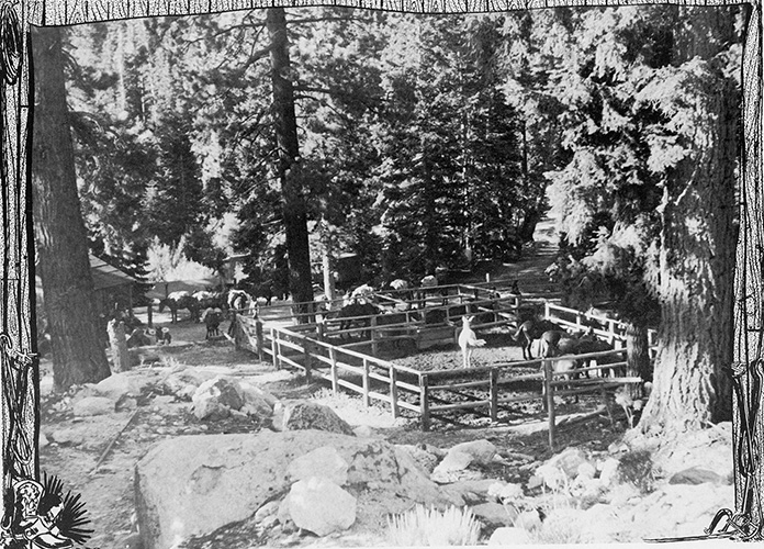 whitney portal packstation