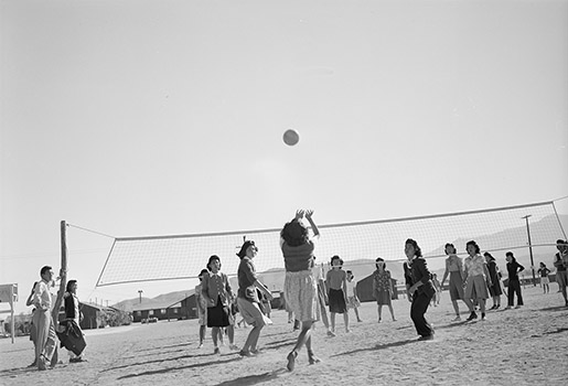 volleyball