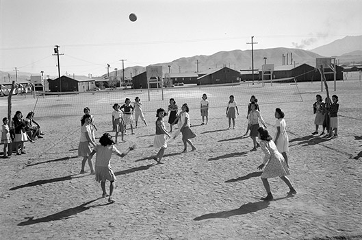 volleyball