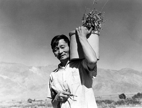 manzanar