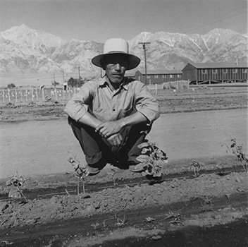 manzanar