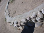 wall