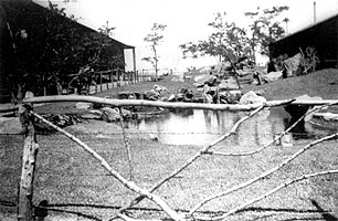 manzanar garden