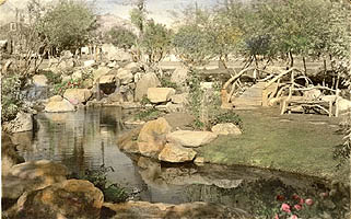 manzanar garden