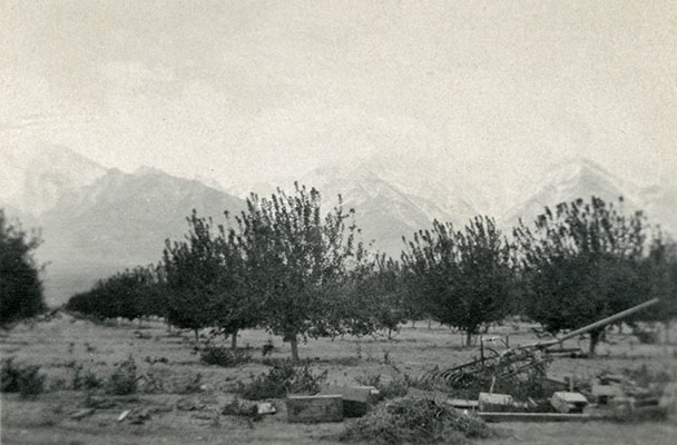 manzanar