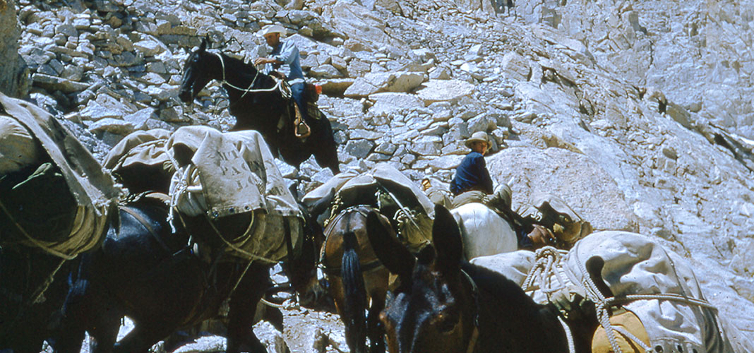 mt whitney trail