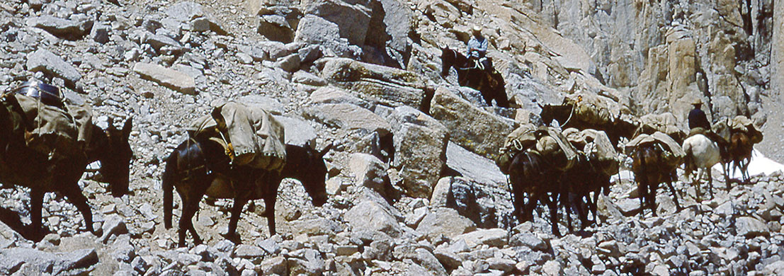 mt. whitney trail