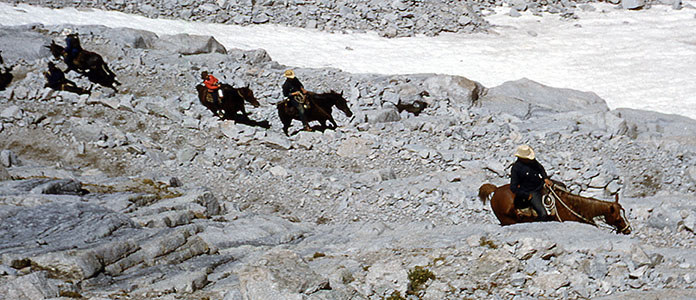 mt. whitney trail