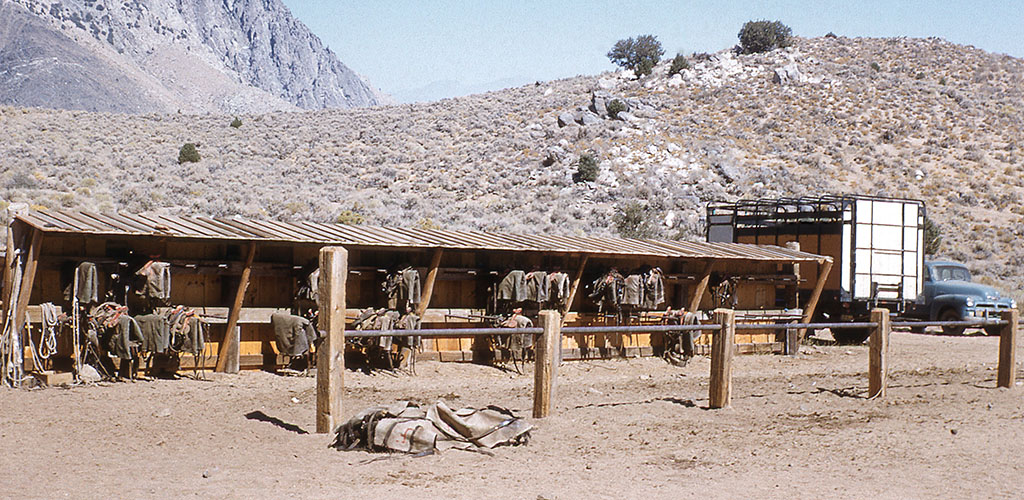 sage flat corrals