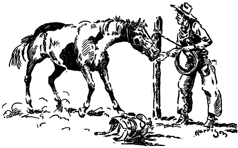 cowboy and horse