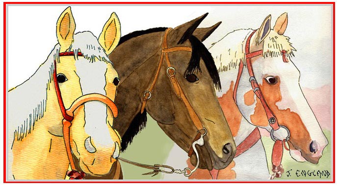 three horses