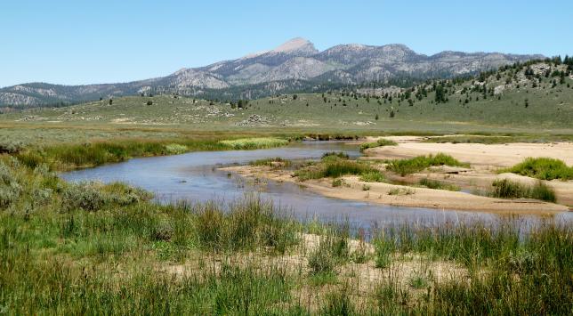 monache meadows