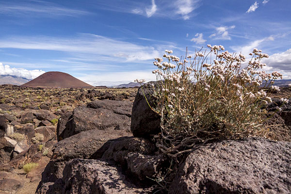 red cinder cone