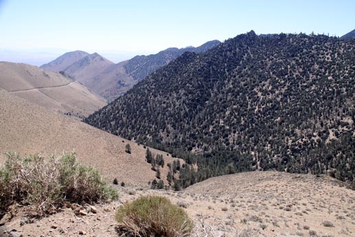 nine mile canyon