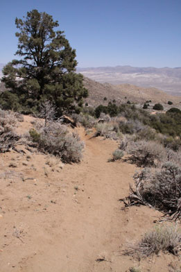 olancha pass trail