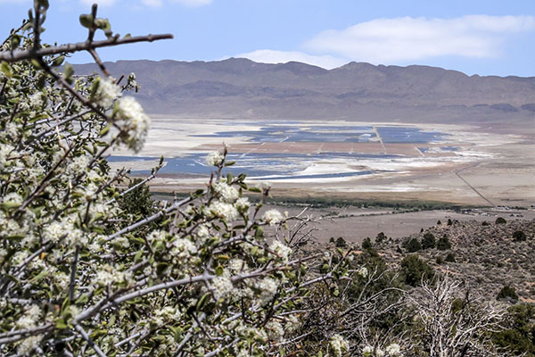 owens lake