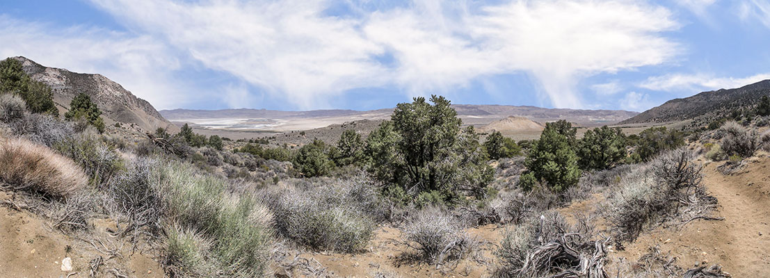 sage flat panorama