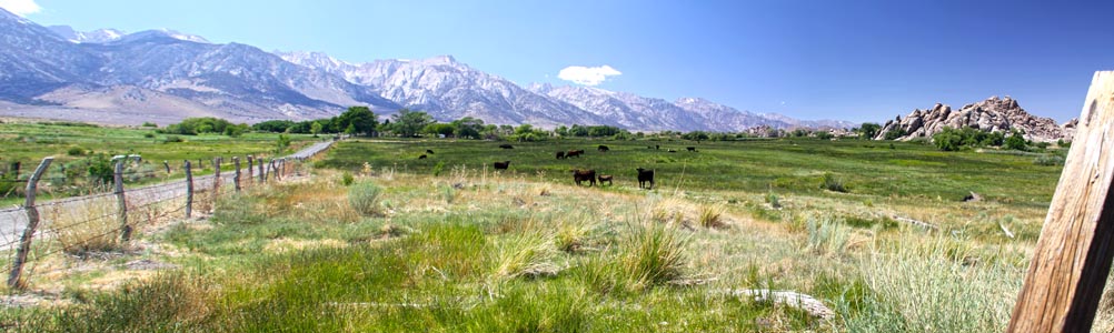 Sierra Nevada from Lubken Canyon Road