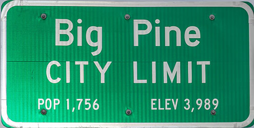 big pine