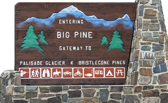 big pine