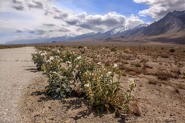 us 395