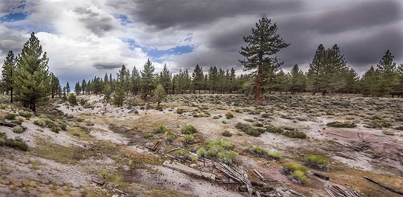 bodie lumber mill ramains