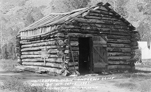 homestead cabin