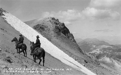 mammoth mountain