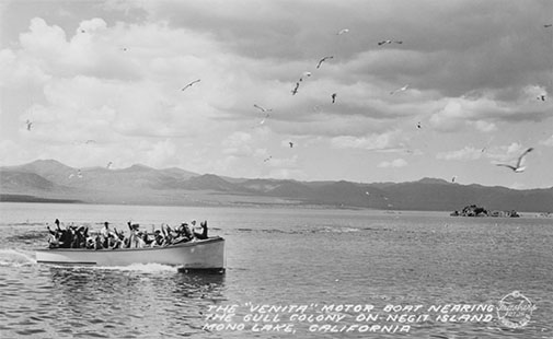 mono lake